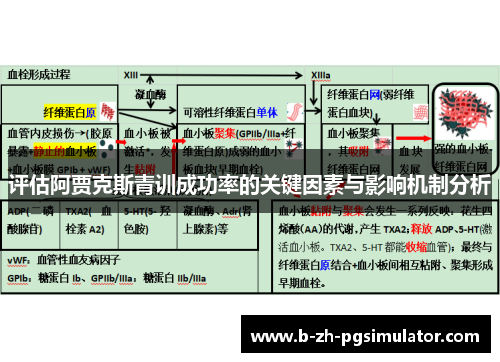 评估阿贾克斯青训成功率的关键因素与影响机制分析 评估阿贾克斯青训成功率的关键因素与影响机制分析