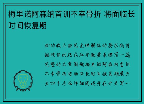 梅里诺阿森纳首训不幸骨折 将面临长时间恢复期